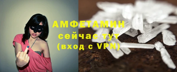 ПСИЛОЦИБИНОВЫЕ ГРИБЫ Беломорск